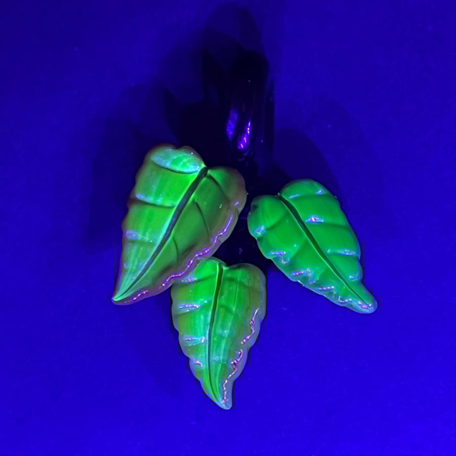 Image of Fall Fades 2025 Leaf Vine Pendant 4