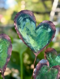 Image 1 of 🩵🌼💚Heart garden 💚🌼🩵