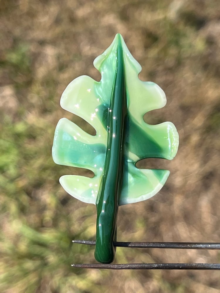 Image of Varigated Monstera Leaf Pendant 6