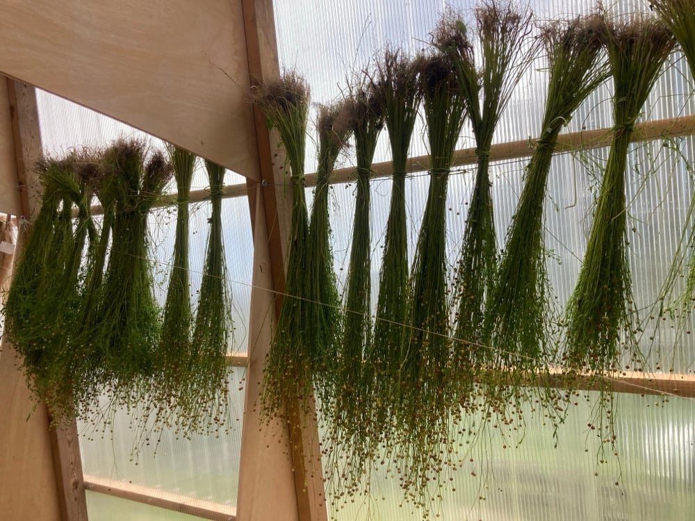 Image of Flax to Linen workshop 