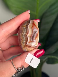 Image 18 of CHOOSE YOUR OWN MEXICAN LACE AGATE PALMSTONES 
