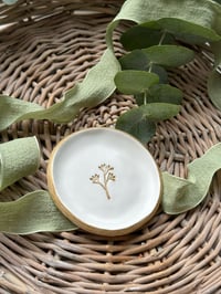 Image 1 of Botanical Trinket Dish