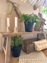 Image 1 of  Natural Wooden Bench