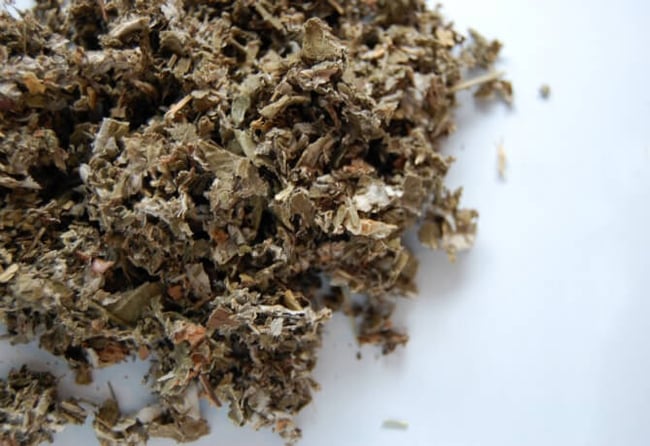 Red Raspberry Leaves