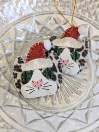 Image 1 of Leopard Santa Cat