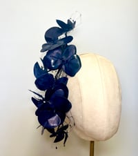 Image 1 of Navy orchids. 