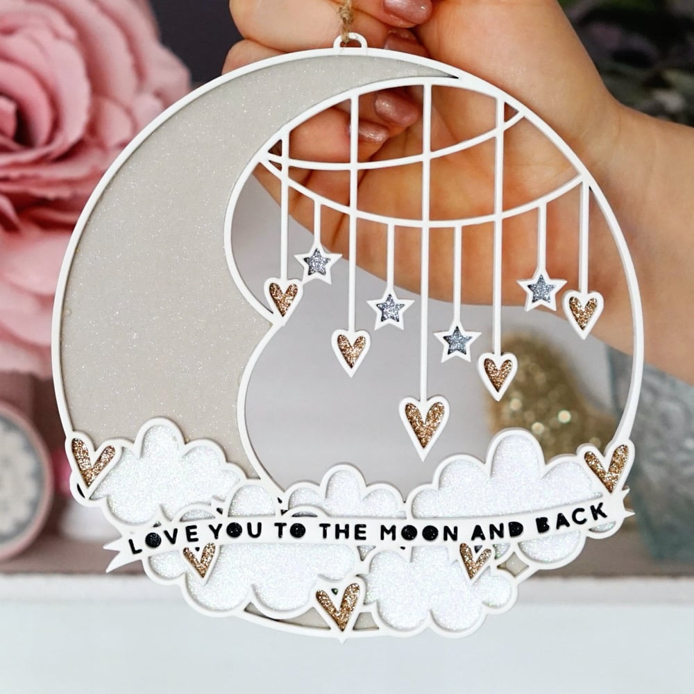 Image of PREORDER To The Moon & Back