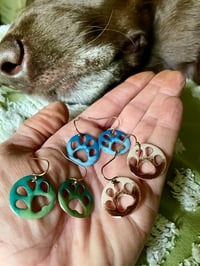Image 1 of Glass Paws