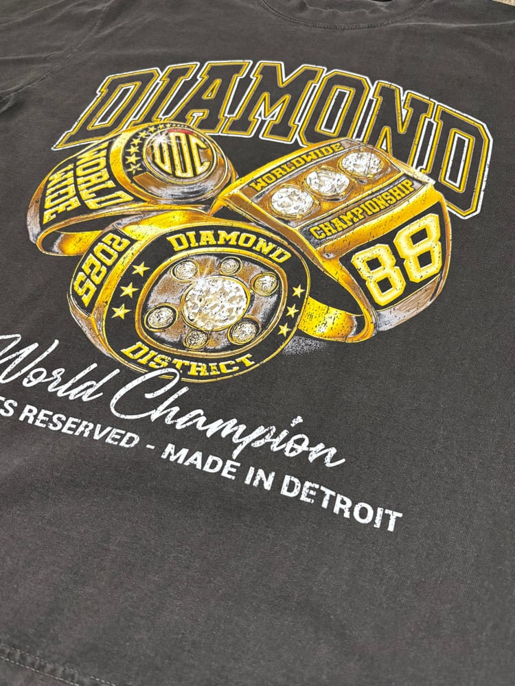 Image of Championship 3 wings(acid wash)