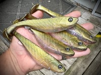 Image 3 of 5" G5 Hand Poured Swimbaits - "ATOMIC SHAD”
