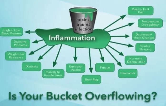 NERVine! Wild Jamaican Blue Vervain. Depression-Anxiety-Dopamine-Insomnia-Respiratory-Headaches.