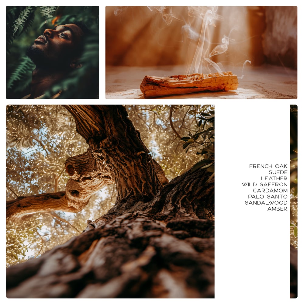 Image of Oakwood Mens Cologne 