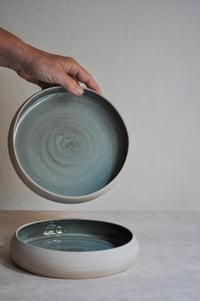 Image 3 of Plate #2