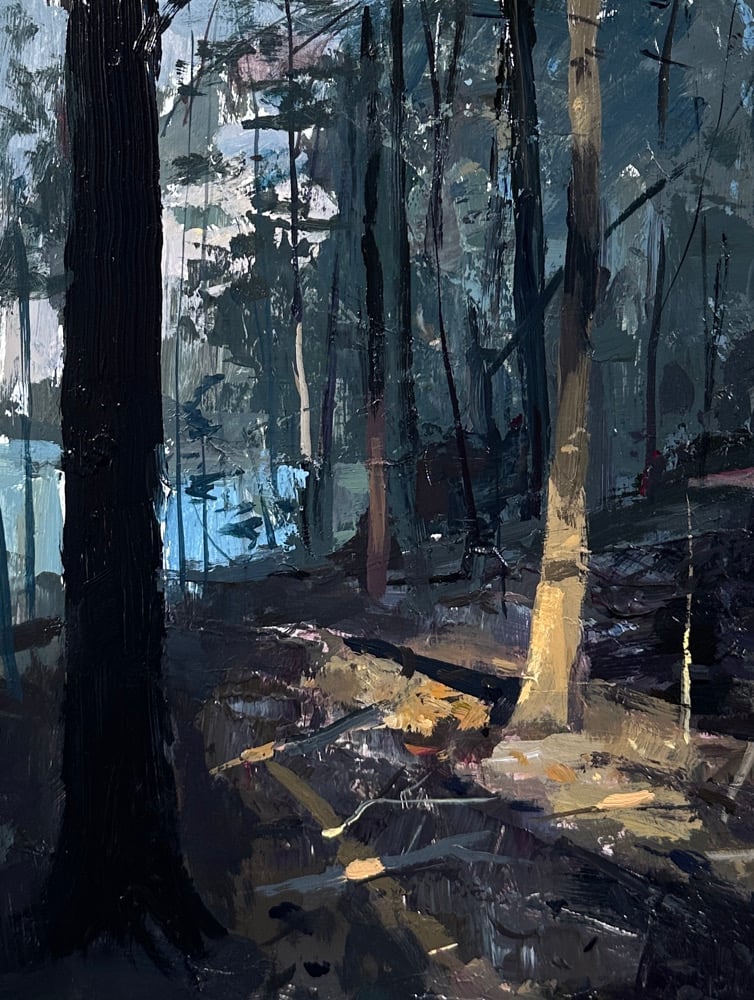 Image of woods 