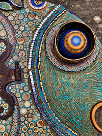 Image 2 of King Round Fish