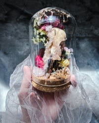 Image 3 of Raven skull 