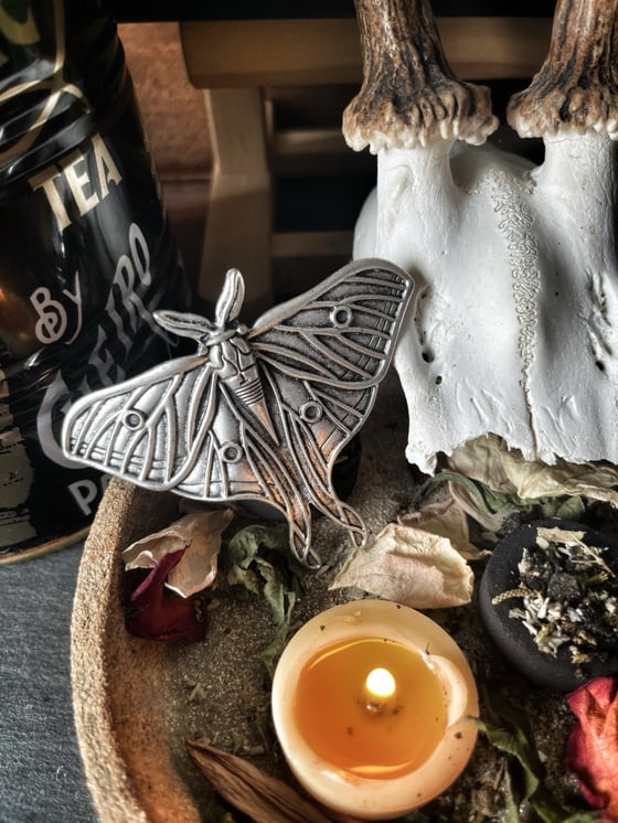 Image of Luna Moth Hair Clip