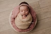 Image 3 of Stretch Tieback 18 - Sage Green