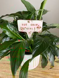 Image 3 of Plant Stakes