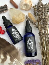 Image 4 of ESENCIA FLORAL SILVESTRE: CASTAÑO DULCE