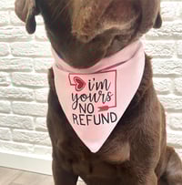 Image 3 of i'm Yours No Refund and Mutts About You Dog Bandana,