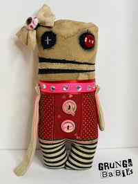 Image 1 of Amora Rose