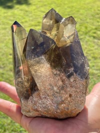 Image 6 of Smoky Citrine Points Cluster #1876