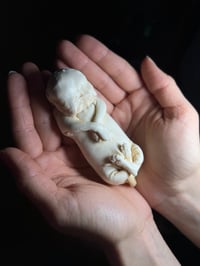 Image 4 of Diprosopus kitten 