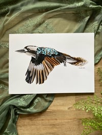 Image 2 of Kookaburra Prints