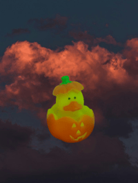 Image 1 of Mini Ducks