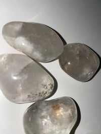 Image 2 of Lodolite 