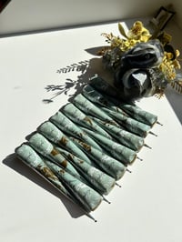 Large Eucalyptus Cones - 10 pack