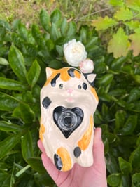 Image 1 of Medium Kitty 