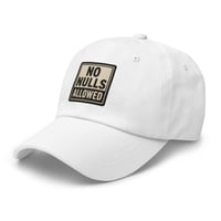 Image 1 of No Null Allowed Hat
