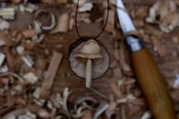 Image 2 of Mushroom Pendant. 
