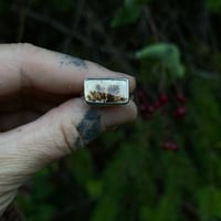 Image 1 of Autumn Dendrite Bloom Ring~7