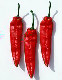 Image 3 of MEDITERRANEAN TEA TOWELS 