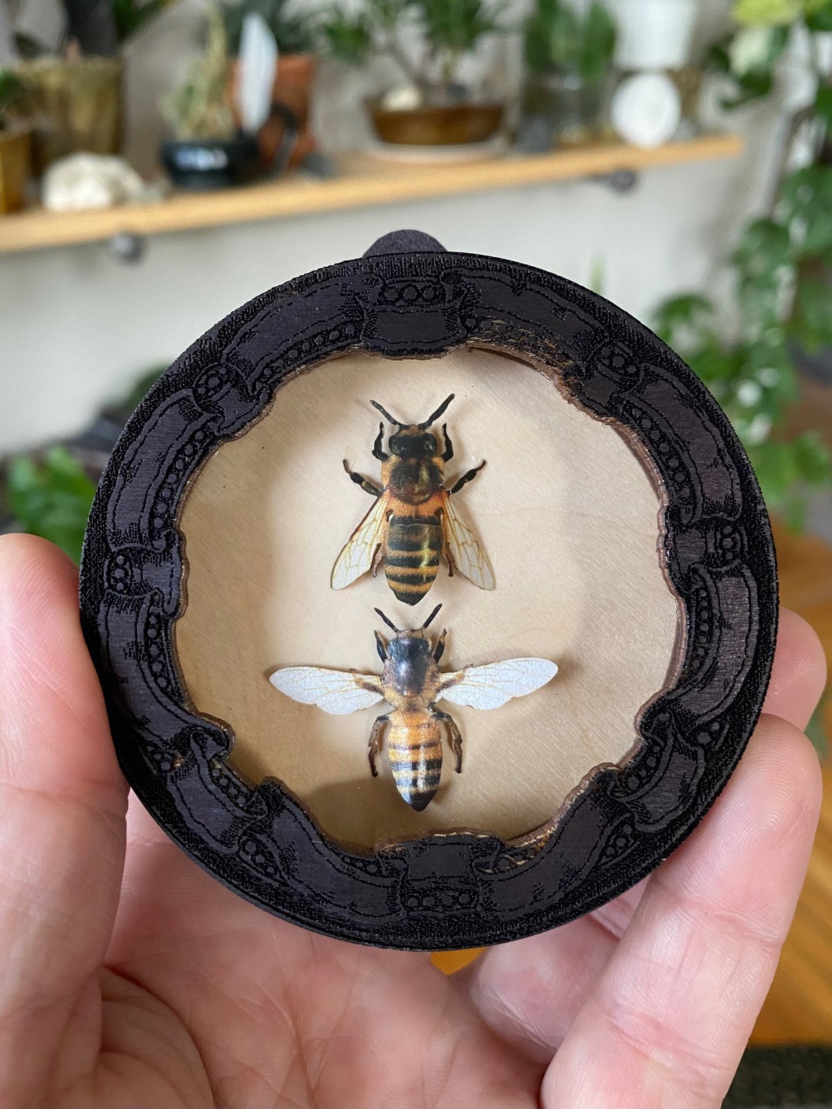 Mini Shadowbox - C | Peony & Bee