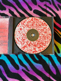 Image 3 of The failsafe device cds 