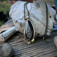 Image 1 of Orthoceras necklace 
