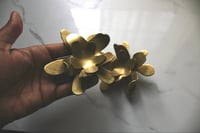 Image 3 of Bloom