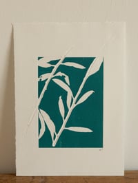 Image 1 of Willow 02 - A4 Original Botanical Monoprint - Blue 