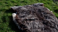 Image 2 of Harting Black Sheepskin #1