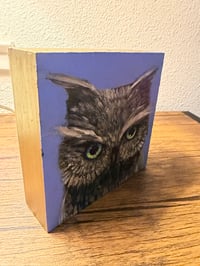 Image 2 of Acrylic Oil and Graphite painting on Wood “Blue Green Dawn Owl” by Sheila Cameron