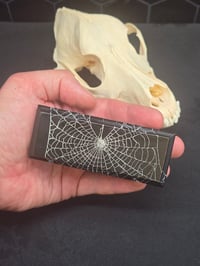 Image 4 of Beautiful Vintage Ebony wooden jewellery trinket Box & Preserved Web E