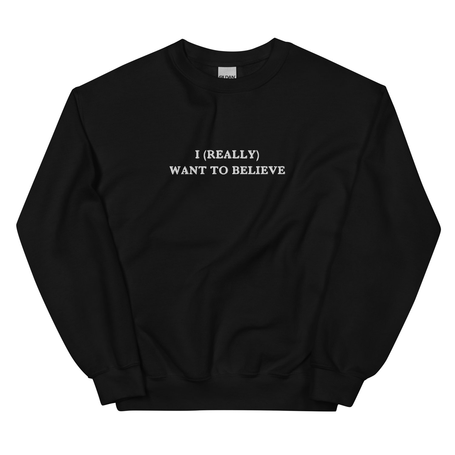 Image of I (Really) Want To Believe embroidered crew neck sweatshirt