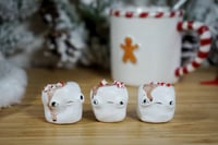 Image 3 of Hot Chocolate Marshmallows