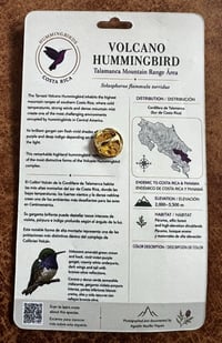 Image 9 of Hummingbirds of Costa Rica Pin Badges