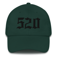 Image 3 of LOWER AZ 520 Dad hat