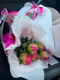 Image 2 of Peony Coral Sunset - PRE ORDER Thurs 6th Nov